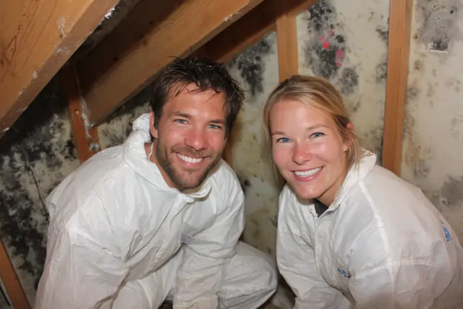 Vero Beach Mold Removal about us