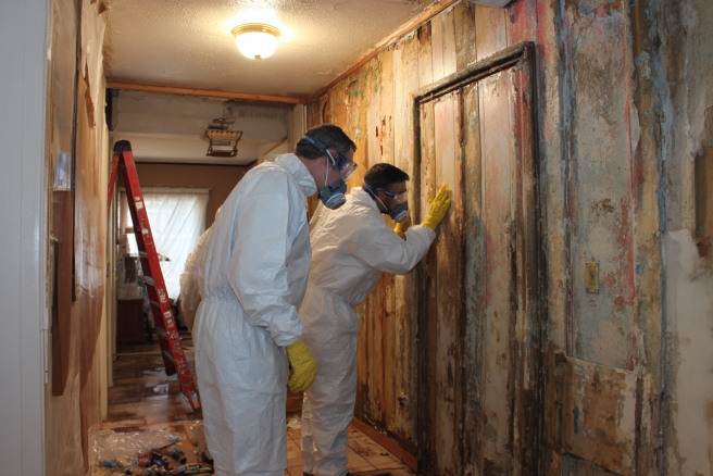 mold prevention